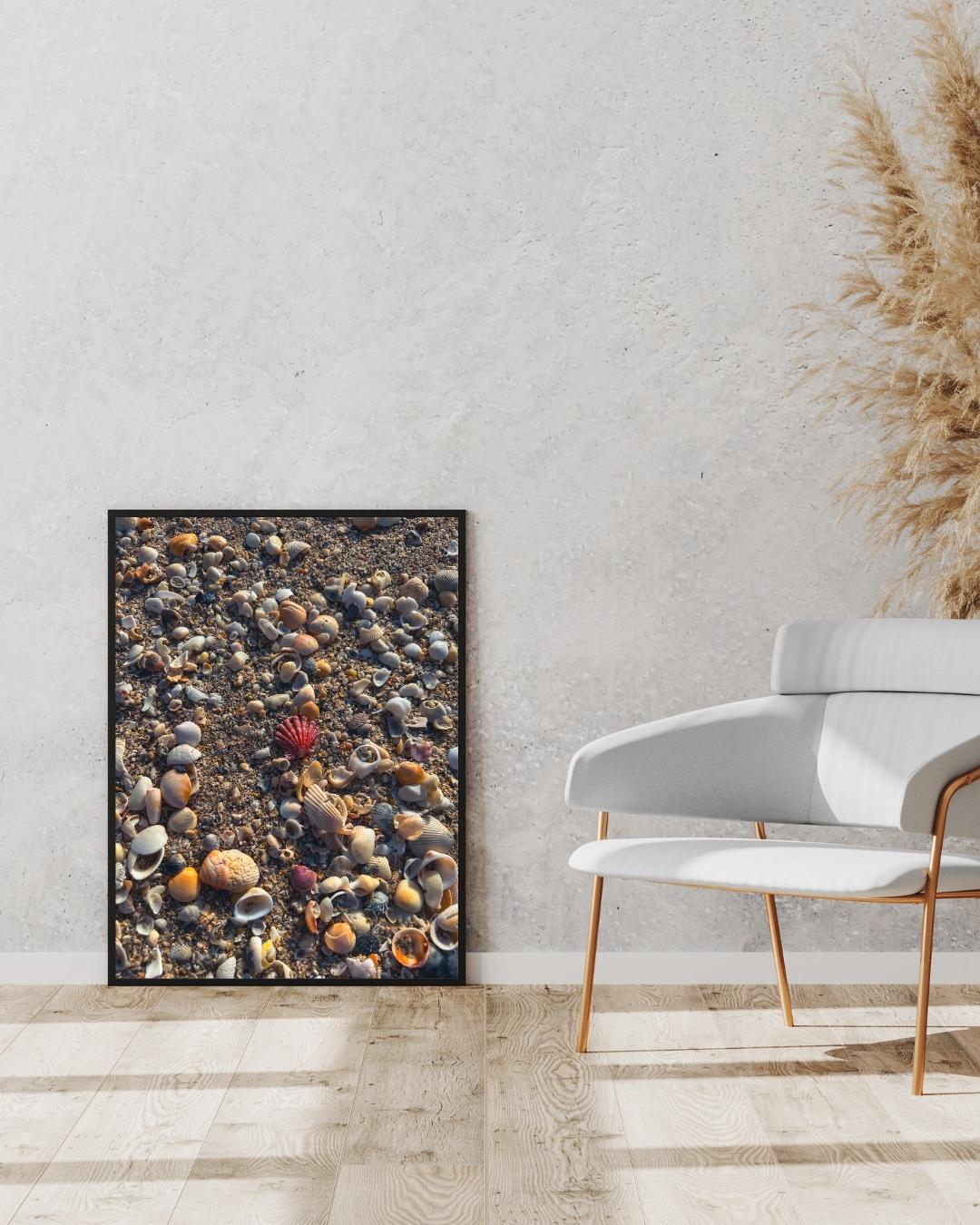Red Lions Paw Seashell Fine Art Print