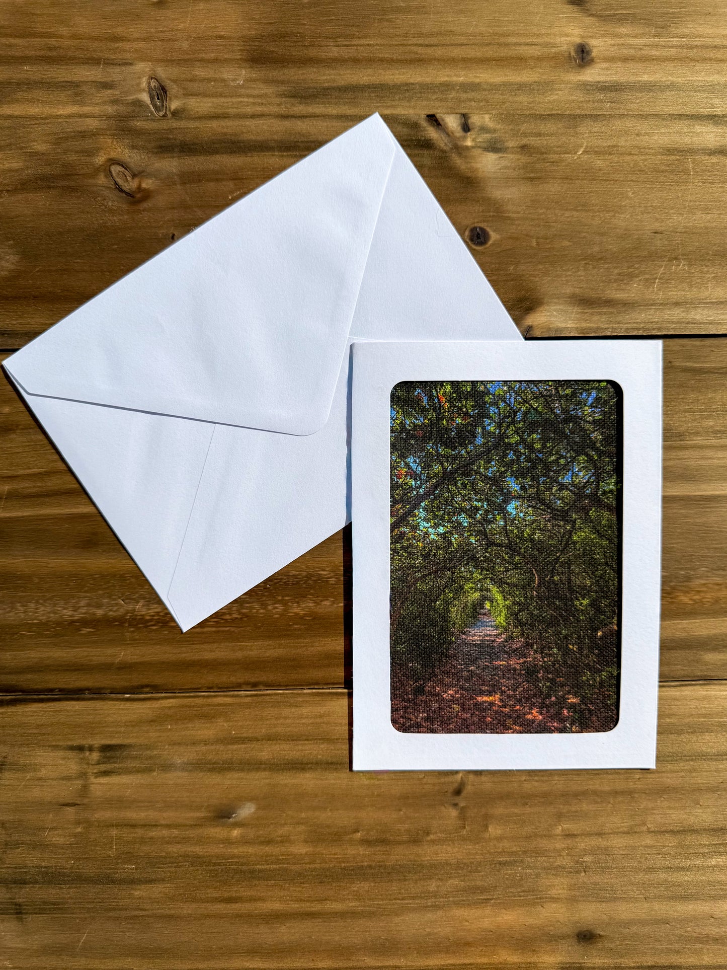 Out in Nature Greeting Cards Set of 3 (5x7)