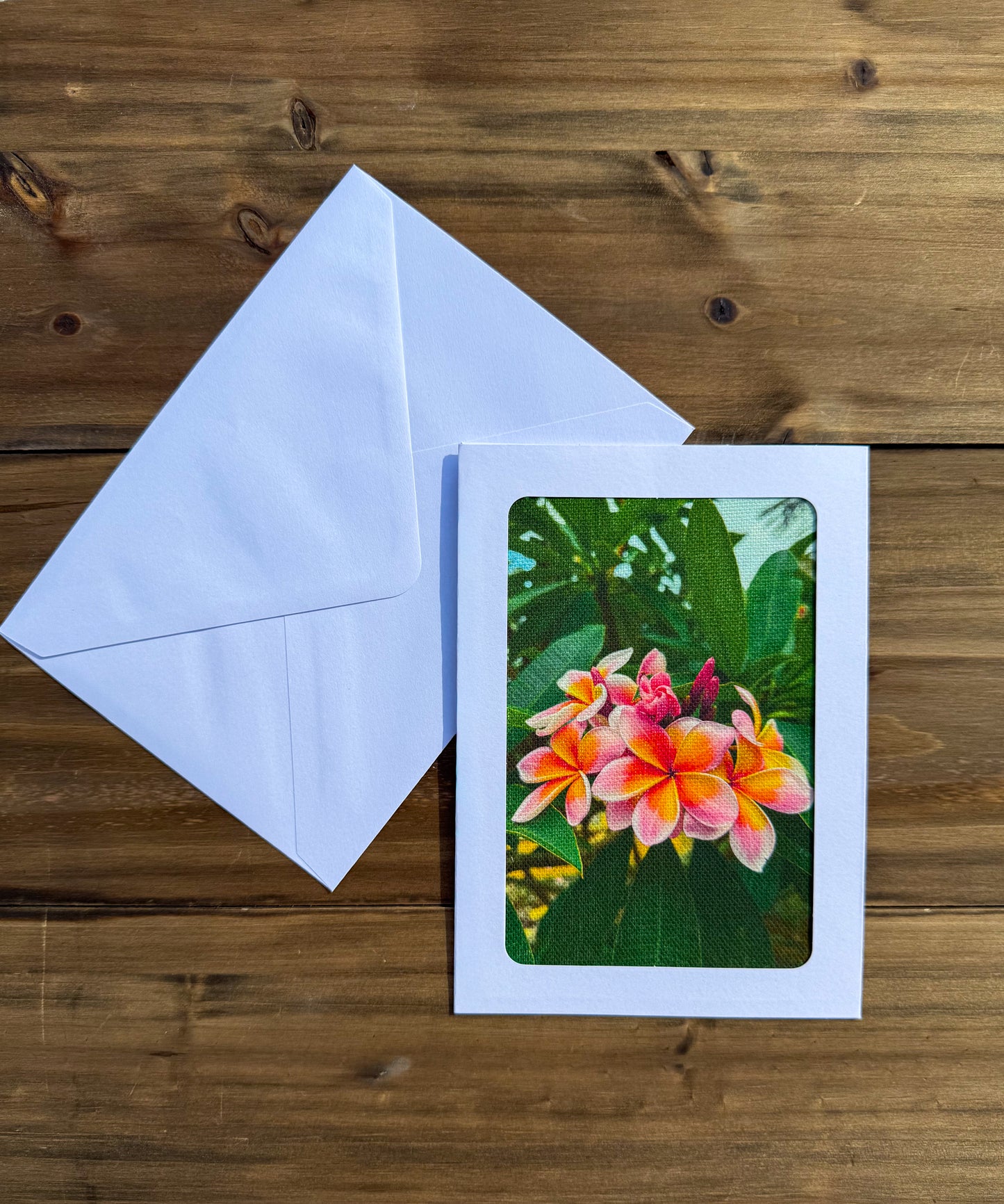 Out in Nature Greeting Cards Set of 3 (5x7)