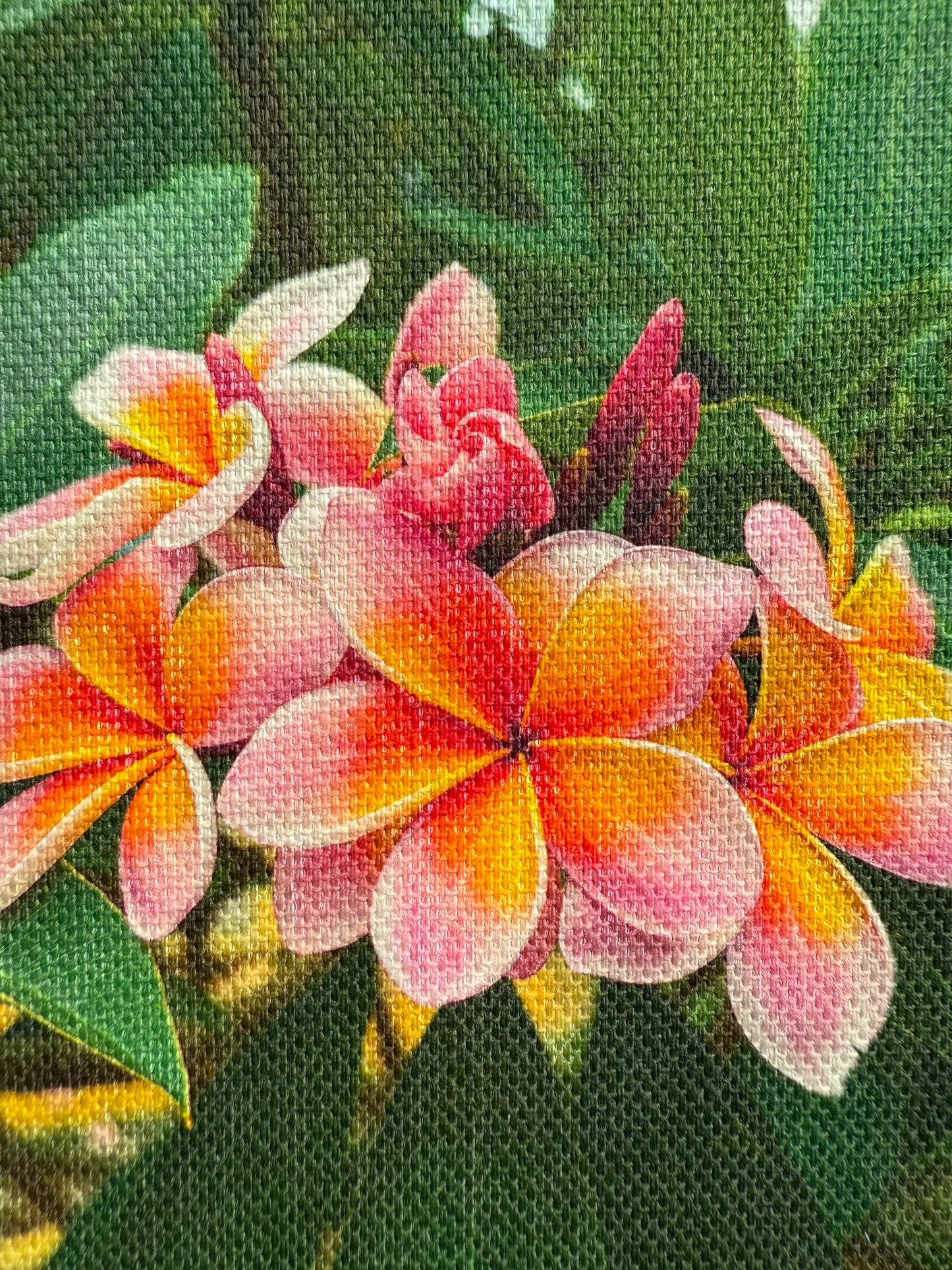 Out in Nature Greeting Cards Set of 3 (5x7)