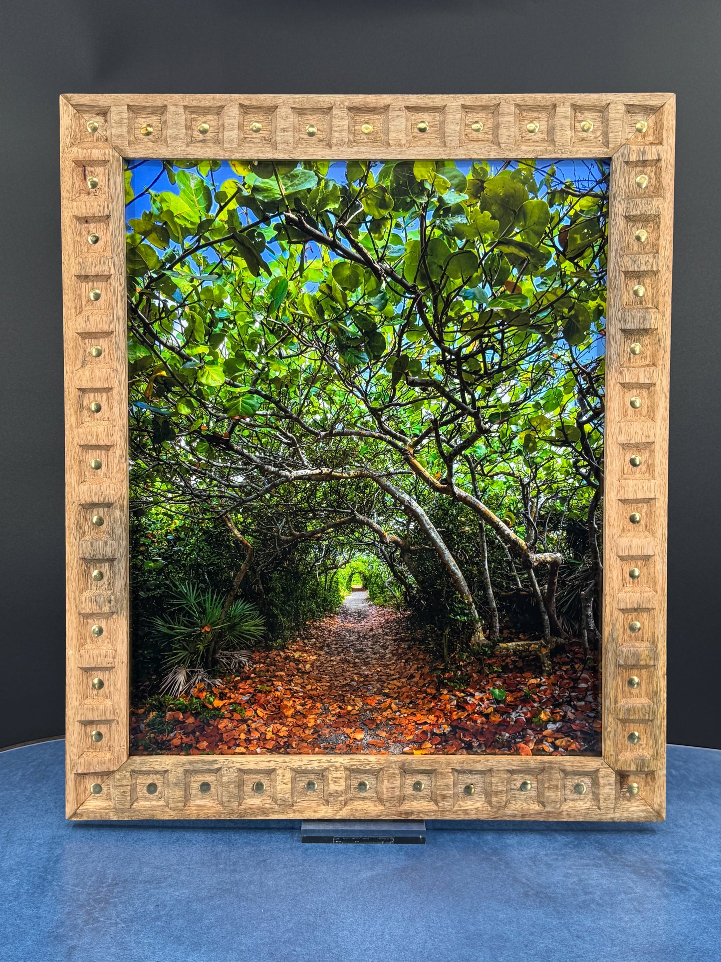 Tree Tunnel Fine Art Print in Wood Frame w/ Gold Rivets