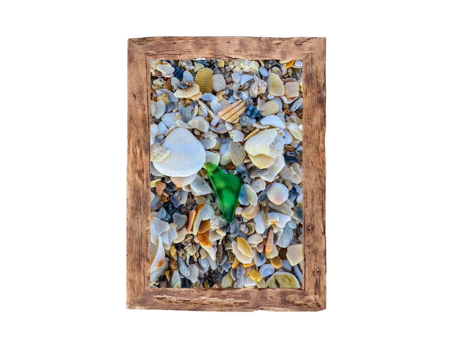 Green Sea Glass Fine Art Print
