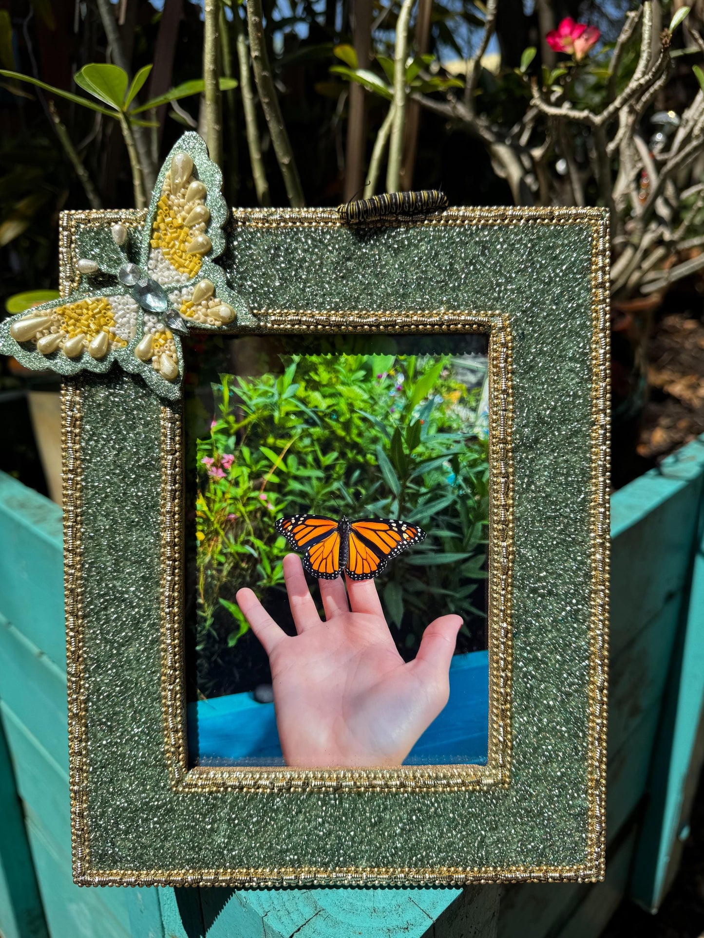 Monarch Butterfly Fine Art Print in Beaded Butterfly Frame, Monarch Butterfly Photo, Butterfly Print, Butterfly Photography, Nature Photo