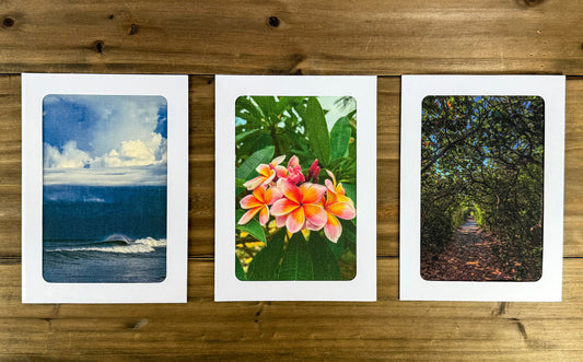 Out in Nature Greeting Cards Set of 3 (5x7)